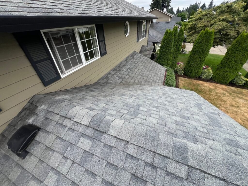 Portland Roof Moss Removal: Protect Your PNW Home in 2026