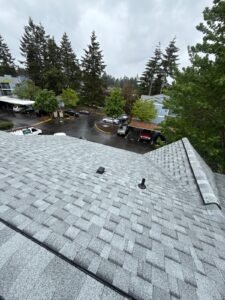 How to Clean an Asphalt Shingle Roof Safely in Vancouver, WA