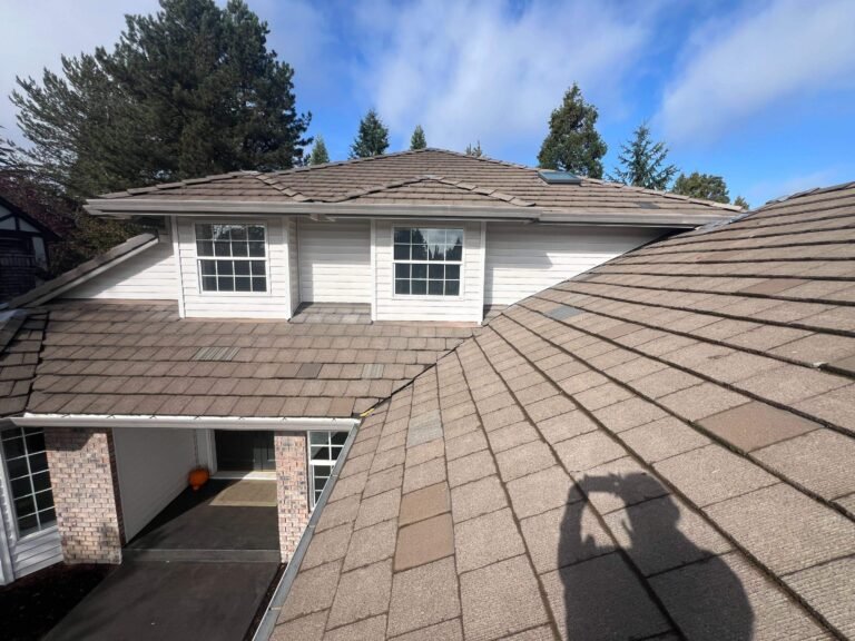 Another angle of the old brown roof and the front entry, with the photographer’s shadow cast across the shingles.