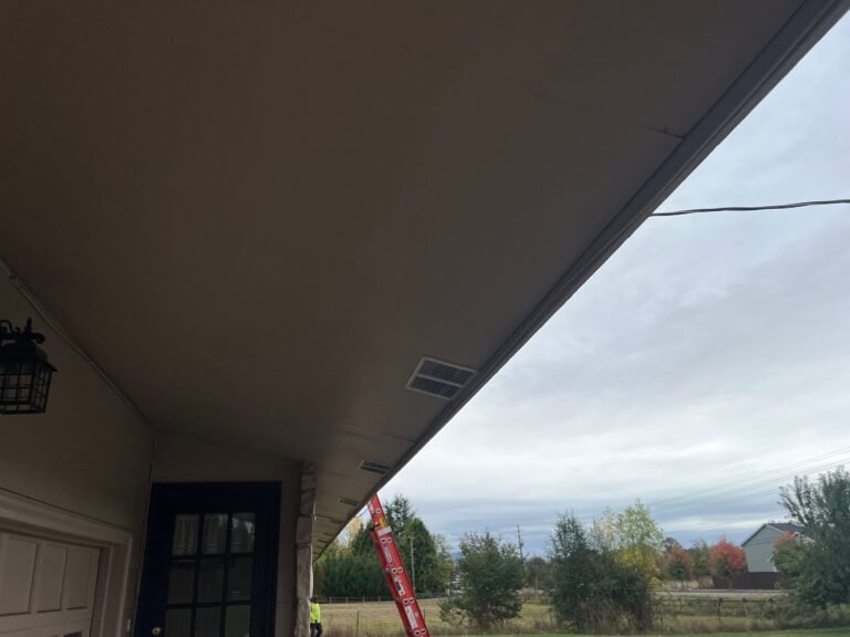Underside of the roof overhang, with a soffit vent and a ladder visible at the edge against a cloudy sky.