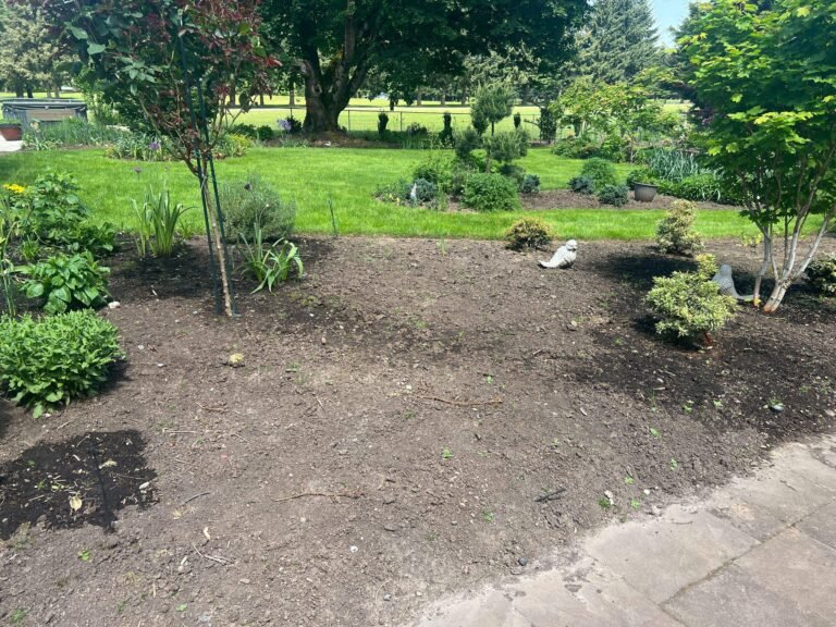 Freshly mulched garden bed with young shrubs and perennials, bordered by a stone walkway and a lawn.