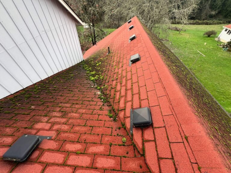 Another view of the mossy red shingle roof, showing the valley, two box vents, and the white gable wall with trees beyond.