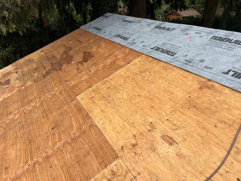 Fresh plywood decking with synthetic underlayment beginning to cover the upper edge of the roof, with trees behind.