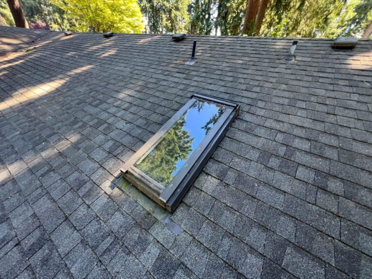 Weathered gray asphalt shingle roof with a framed skylight reflecting the trees above, and small vents along the ridge.