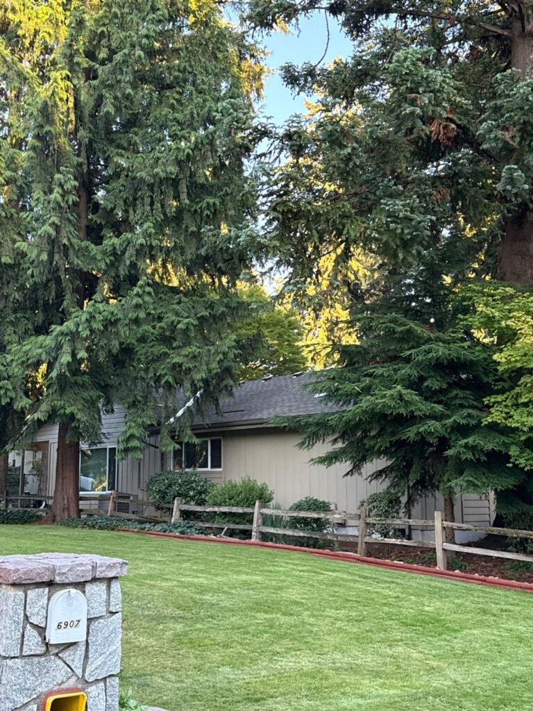 Side of a tan home with a new dark shingle roof behind a split-rail fence and evergreen trees.