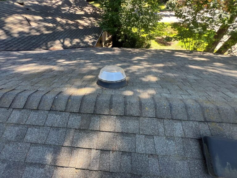 Worn shingle roof with a round tubular skylight dome, shaded by overhanging trees.