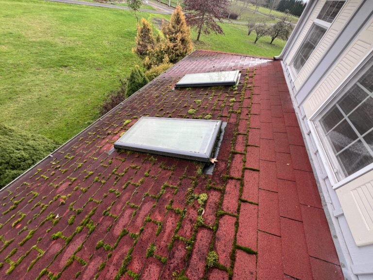 Aging red shingle roof with heavy moss growth and two skylights, running alongside a white wall with large windows.