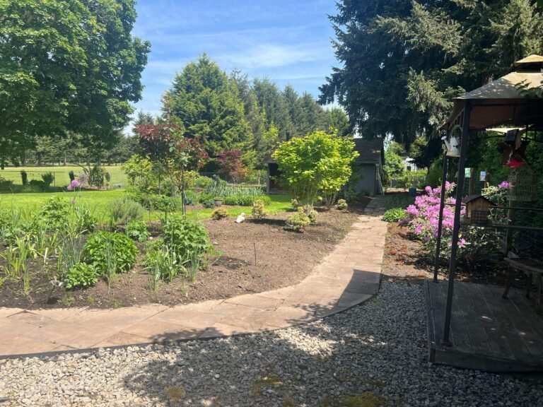 Landscaped garden with a flagstone path, flowering shrubs, and a gazebo edge, with a green field and trees beyond.