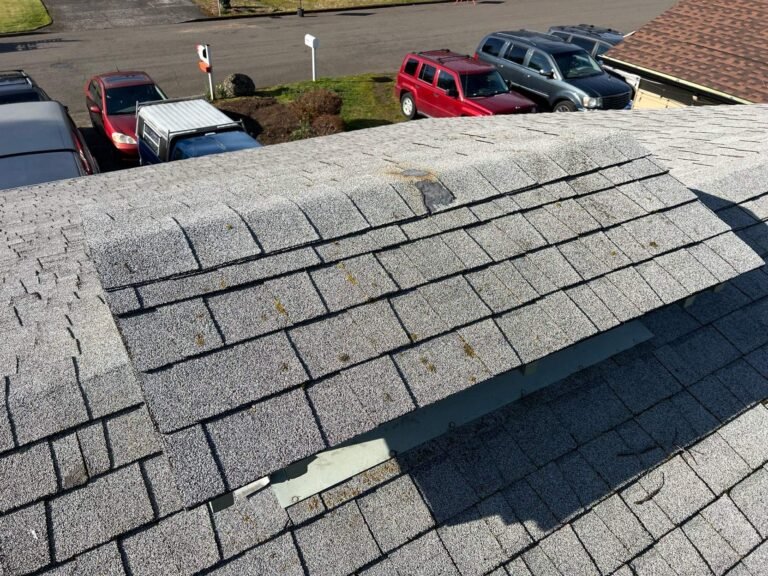 Section of shingles peeled back and lifted away from the roof, exposing the layer beneath.