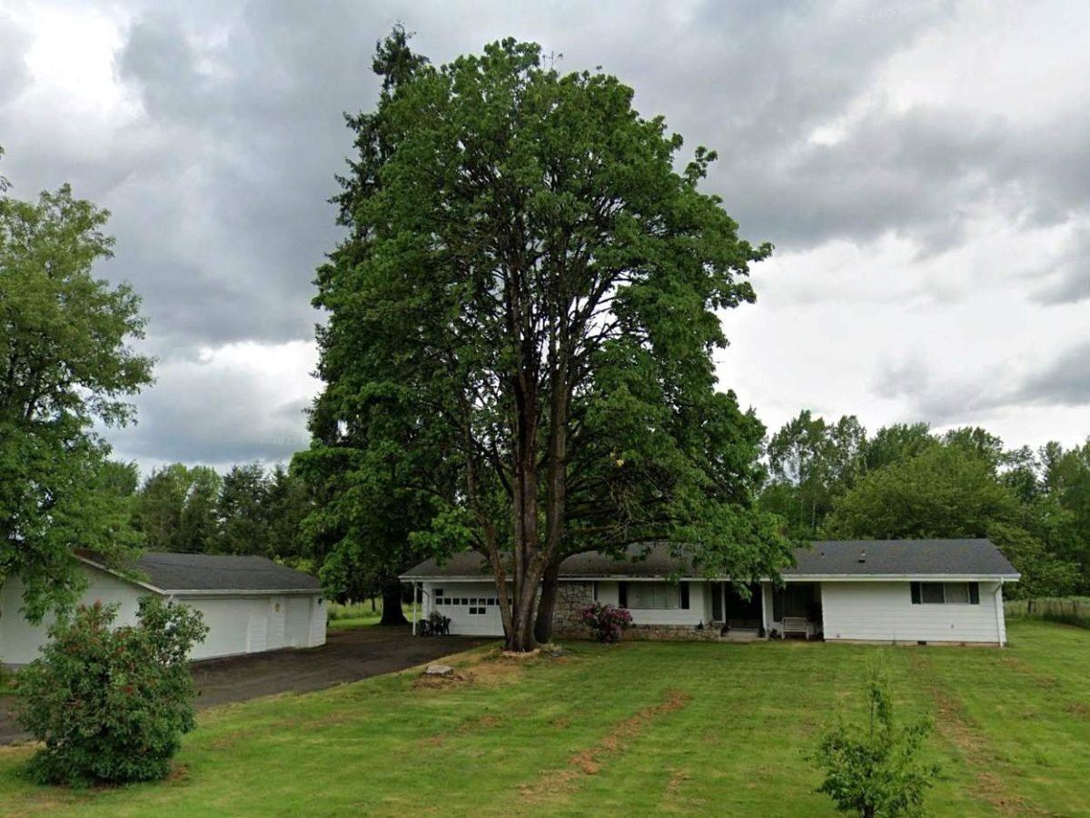 Terry Cousins - Residence